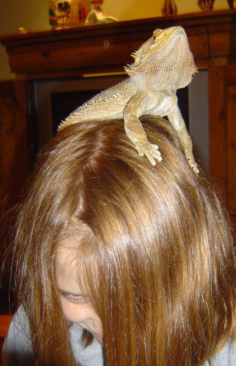 tommy turns 7 & soccer 013